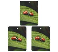3-Pack Car Air Freshener Cards Double Sided Hanging Leaves And Ladybug Air Freshener Scented Cards for Car, Room, Bathroom | Long-Lasting Fragrance, White-style