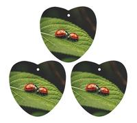 3-Pack Car Air Freshener Cards Double Sided Hanging Leaves And Ladybug Air Freshener Scented Cards for Car, Room, Bathroom | Long-Lasting Fragrance, Gray-style