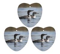 3-Pack Car Air Freshener Cards Double Sided Hanging Loon Birds Air Freshener Scented Cards for Car, Room, Bathroom | Long-Lasting Fragrance, Black-style
