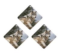 3-Pack Car Air Freshener Cards Double Sided Hanging Snow Mountain Wild Wolf Air Freshener Scented Cards for Car, Room, Bathroom | Long-Lasting Fragrance, Black-style