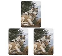 3-Pack Car Air Freshener Cards Double Sided Hanging Snow Mountain Wild Wolf Air Freshener Scented Cards for Car, Room, Bathroom | Long-Lasting Fragrance, Black-style