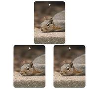 3-Pack Car Air Freshener Cards Double Sided Hanging Squirrel Just Laying Air Freshener Scented Cards for Car, Room, Bathroom | Long-Lasting Fragrance, Black-style