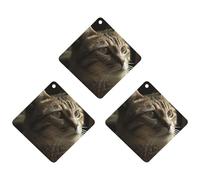 3-Pack Car Air Freshener Cards Double Sided Hanging Tabby Cat Air Freshener Scented Cards for Car, Room, Bathroom | Long-Lasting Fragrance, Gray-style