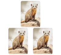 3-Pack Car Air Freshener Cards Double Sided Hanging Wild Meerkats Air Freshener Scented Cards for Car, Room, Bathroom | Long-Lasting Fragrance, Gray-style
