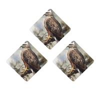 3 Pack Car Air Freshener Hanging Incense Chips Automotive Scented Hanging Sheets for Car Home Auto Interior Decor,Watercolor Of Hawk Sitting In The Tree
