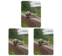 3 Pack Car Air Freshener Hanging Incense Chips Automotive Scented Hanging Sheets for Car Home Auto Interior Decor，Snail on Wooden Railing