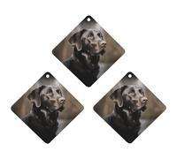 3 Pack Car Air Freshener Hanging Incense Chips Automotive Scented Hanging Sheets for Car Home Auto Interior Decor,Labrador Retriever