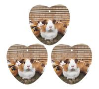 3 Pack Car Air Freshener Hanging Incense Chips Automotive Scented Hanging Sheets for Car Home Auto Interior Decor，Guinea Pigs