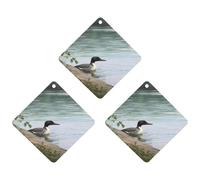 3 Pack Car Air Freshener Hanging Incense Chips Automotive Scented Hanging Sheets for Car Home Auto Interior Decor,Loon Nature Birds