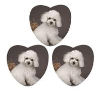 3 Pack Car Air Freshener Hanging Incense Chips Automotive Scented Hanging Sheets for Car Home Auto Interior Decor，French Poodle