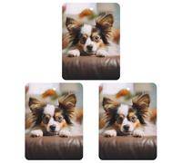 3 Pack Car Air Freshener Hanging Incense Chips Automotive Scented Hanging Sheets for Car Home Auto Interior Decor,Papillon Lying On Tummy