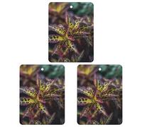 3 Pack Car Air Freshener Hanging Incense Chips Automotive Scented Hanging Sheets for Car Home Auto Interior Decor，Dark Leaves