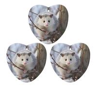 3 Pack Car Air Freshener Hanging Incense Chips Automotive Scented Hanging Sheets for Car Home Auto Interior Decor，Opossum In Snow