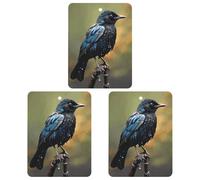 3 Pack Car Air Freshener Hanging Incense Chips Automotive Scented Hanging Sheets for Car Home Auto Interior Decor,Bird on Rainy Day