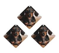 3 Pack Car Air Freshener Hanging Incense Chips Automotive Scented Hanging Sheets for Car Home Auto Interior Decor，Cute Wiener Sausage Dog
