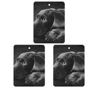 3 Pack Car Air Freshener Hanging Incense Chips Automotive Scented Hanging Sheets for Car Home Auto Interior Decorï¼ŒBlack Labrador Puppy
