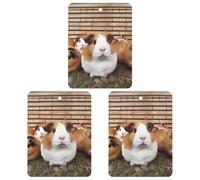 3 Pack Car Air Freshener Hanging Incense Chips Automotive Scented Hanging Sheets for Car Home Auto Interior Decor，Guinea Pigs