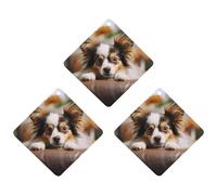3 Pack Car Air Freshener Hanging Incense Chips Automotive Scented Hanging Sheets for Car Home Auto Interior Decor,Papillon Lying On Tummy