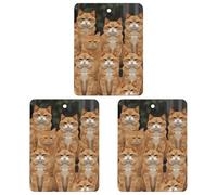 3 Pack Car Air Freshener Hanging Incense Chips Automotive Scented Hanging Sheets for Car Home Auto Interior Decor，Orange Cats