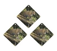 3 Pack Car Air Freshener Hanging Incense Chips Automotive Scented Hanging Sheets for Car Home Auto Interior Decor，Cat on Tree Trunk Waterfall