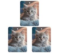 3 Pack Car Air Freshener Hanging Incense Chips Automotive Scented Hanging Sheets for Car Home Auto Interior Decor，Kitten Lying on Carpet