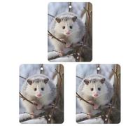 3 Pack Car Air Freshener Hanging Incense Chips Automotive Scented Hanging Sheets for Car Home Auto Interior Decor，Opossum In Snow