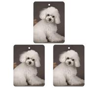 3 Pack Car Air Freshener Hanging Incense Chips Automotive Scented Hanging Sheets for Car Home Auto Interior Decor，French Poodle