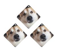 3 Pack Car Air Freshener Hanging Incense Chips Automotive Scented Hanging Sheets for Car Home Auto Interior Decorï¼ŒAnimal Dog Photo