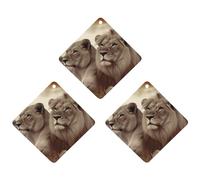 3 Pack Car Air Freshener Hanging Incense Chips Automotive Scented Hanging Sheets for Car Home Auto Interior Decor,African Lion And Lioness