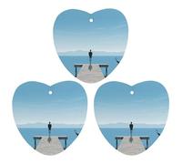 3 Pack Car Air Freshener Hanging Incense Chips Automotive Scented Hanging Sheets for Car Home Auto Interior Decor,Lonely Back