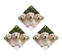 3 Pack Car Air Freshener Hanging Incense Chips Automotive Scented Hanging Sheets for Car Home Auto Interior Decor,Golden Retriever Puppies