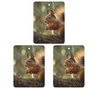 3 Pack Car Air Freshener Hanging Incense Chips Automotive Scented Hanging Sheets for Car Home Auto Interior Decor,Wildlife Squirrel