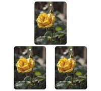 3 Pack Car Air Freshener Hanging Incense Chips Automotive Scented Hanging Sheets for Car Home Auto Interior Decor,Growing Yellow Rose