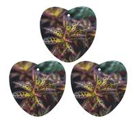 3 Pack Car Air Freshener Hanging Incense Chips Automotive Scented Hanging Sheets for Car Home Auto Interior Decor，Dark Leaves
