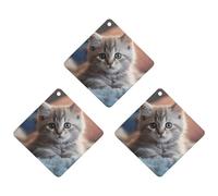 3 Pack Car Air Freshener Hanging Incense Chips Automotive Scented Hanging Sheets for Car Home Auto Interior Decor，Kitten Lying on Carpet
