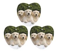 3 Pack Car Air Freshener Hanging Incense Chips Automotive Scented Hanging Sheets for Car Home Auto Interior Decor,Golden Retriever Puppies