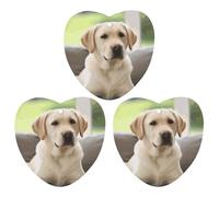 3 Pack Car Air Freshener Hanging Incense Chips Automotive Scented Hanging Sheets for Car Home Auto Interior Decorï¼ŒCute Labrador Dog