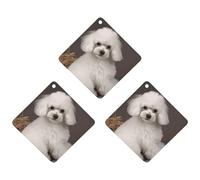 3 Pack Car Air Freshener Hanging Incense Chips Automotive Scented Hanging Sheets for Car Home Auto Interior Decor，French Poodle