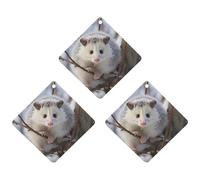 3 Pack Car Air Freshener Hanging Incense Chips Automotive Scented Hanging Sheets for Car Home Auto Interior Decor，Opossum In Snow