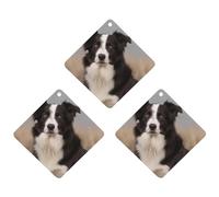3 Pack Car Air Freshener Hanging Incense Chips Automotive Scented Hanging Sheets for Car Home Auto Interior Decor,Border Collie