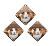 3 Pack Car Air Freshener Hanging Incense Chips Automotive Scented Hanging Sheets for Car Home Auto Interior Decor，Guinea Pigs