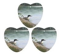3 Pack Car Air Freshener Hanging Incense Chips Automotive Scented Hanging Sheets for Car Home Auto Interior Decor,Loon Nature Birds