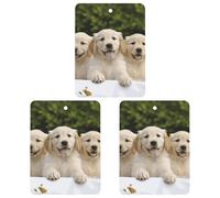 3 Pack Car Air Freshener Hanging Incense Chips Automotive Scented Hanging Sheets for Car Home Auto Interior Decor,Golden Retriever Puppies