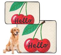 3 Pack Cat Pet Mat Dog Tray for Pee Pads Anti Slip Mat for Dogs for Floor 20x24in Hello Cartoon Cute Red Cherry