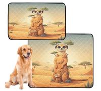 3 Pack Cat Pet Mat Rug for Dogs Muddy Feet Washable Anti Slip Mat for Lawn 20x24in Meerkat Kalahari Desert Collage