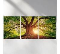 3 Pack Diamond Art Kits Adults, 5D Tree Diamond Painting Kit for Adults, Lush Fun DIY Full Drill Round Crystal Gem Art Craft, Adults Paint by Diamonds Dots Home Wall Decor 24x36in a-6345