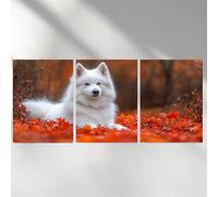 3 Pack Diamond Art Kits Adults, 5D White Diamond Painting Kit for Adults, Fox Fun DIY Full Drill Round Crystal Gem Art Craft, Adults Paint by Diamonds Dots Home Wall Decor 8x12in a-6025