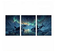 3 Pack Diamond Art Kits Adults Killer Whales Diamond Painting, 5D DIY Wall Art Supplies Kits for Adults, Full Drill Winter Paint by Numbers 10x16in*3, Rhinestone Embroidery Crafts Room Decor HXZH-2979