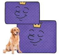 3 Pack Dog Pee Mats Rug for Dogs Muddy Feet Washable Anti Slip Rug for Car 20x24in Proud Crown Look