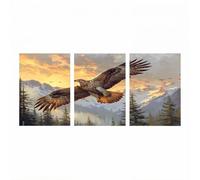 3 Pack Eagle Diamond Painting kit with Diamond Art Accessories, 5D Rhinestones Crystal Art Paint by Numbers 24x36inx3Pack, DIY Triptych Canvas Painting for Wall Artwork for Room Decor Animal Model1938